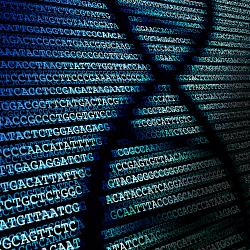 Nextera XT DNA Library Preparation on PIPETMAX®