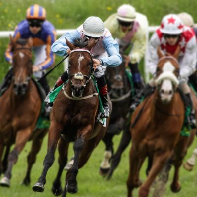 GX-274 ASPEC&reg;: Automated Extraction of Glucocorticoid and Nonsteroidal Anti-Inflammatory Drugs from Horse Urine