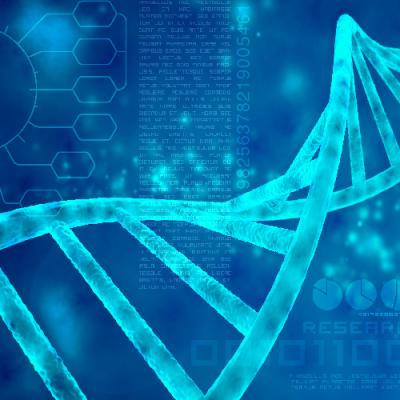 PIPETMAX® 268 Automation of the Illumina Nextera XT DNA Library Preparation Kit