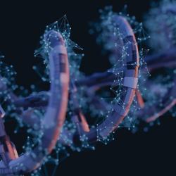 How to Uncover Weak and Transient Protein Interactions Effectively