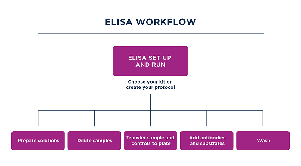 ELISA workflow
