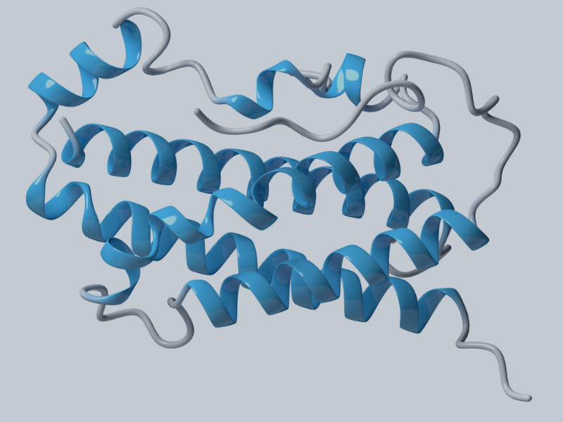 Peptide Purifcation