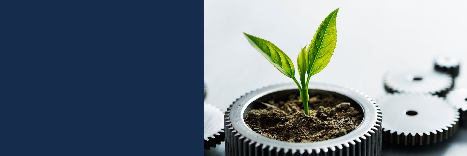 sustainability banner