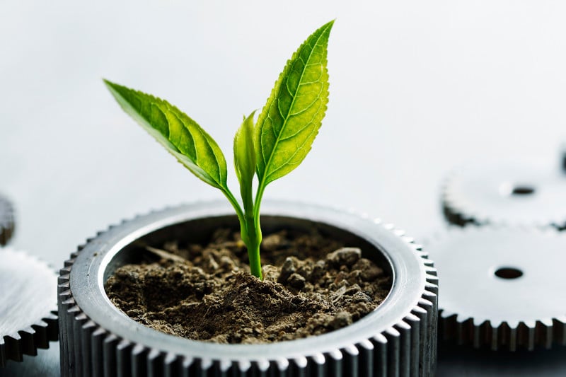 sustainability