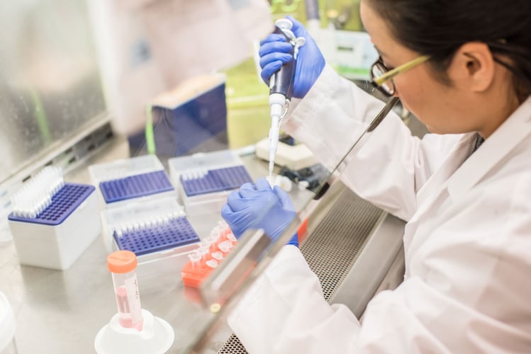pipette tips